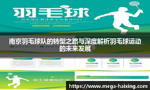 南京羽毛球队的转型之路与深度解析羽毛球运动的未来发展